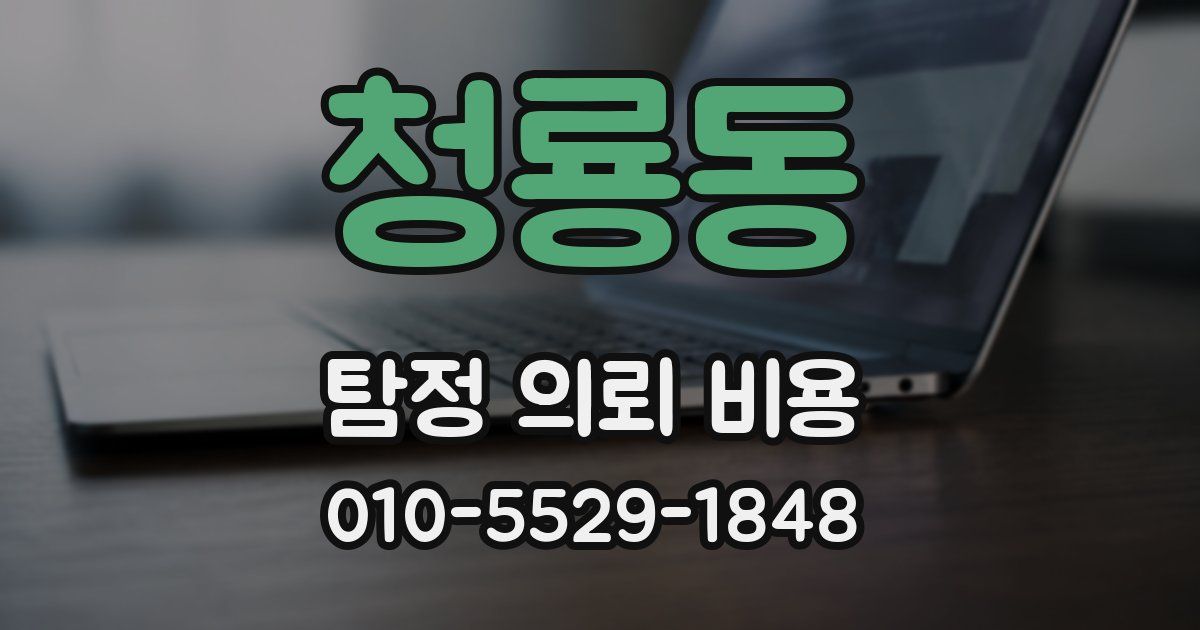 청룡동 탐정 의뢰 비용