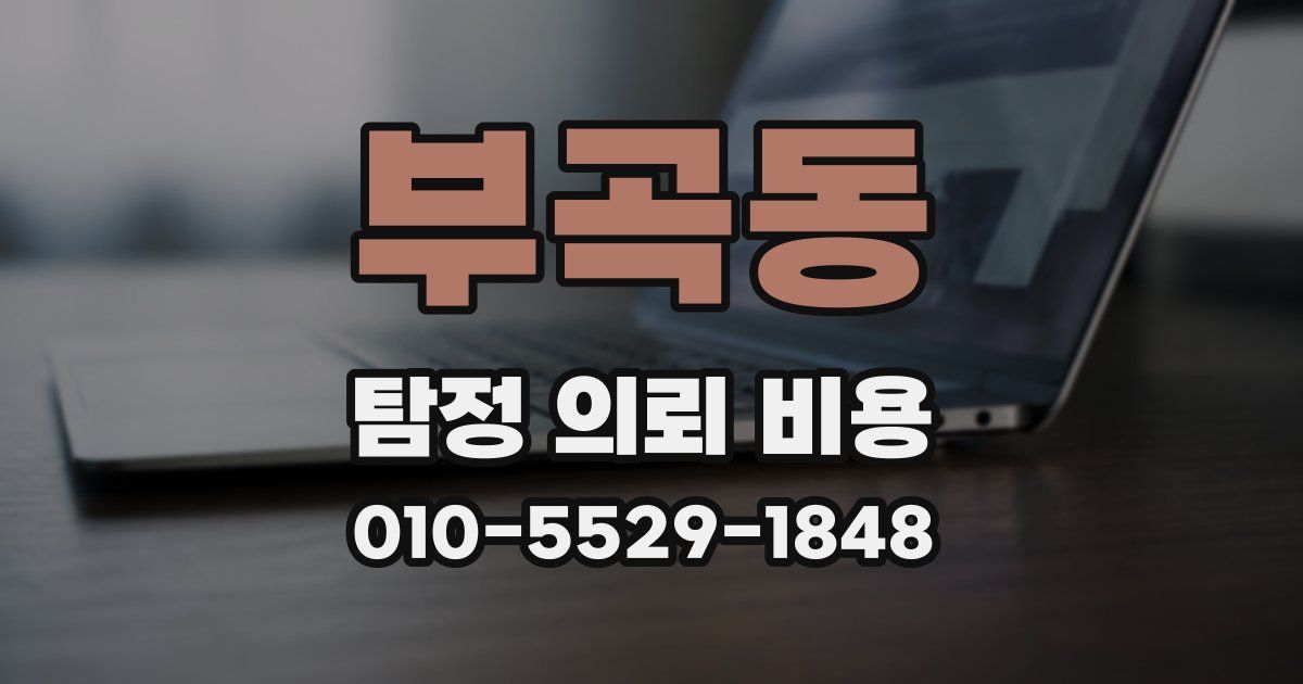 부곡동 탐정 의뢰 비용