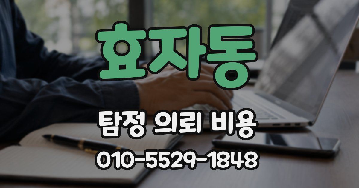 효자동 탐정 의뢰 비용