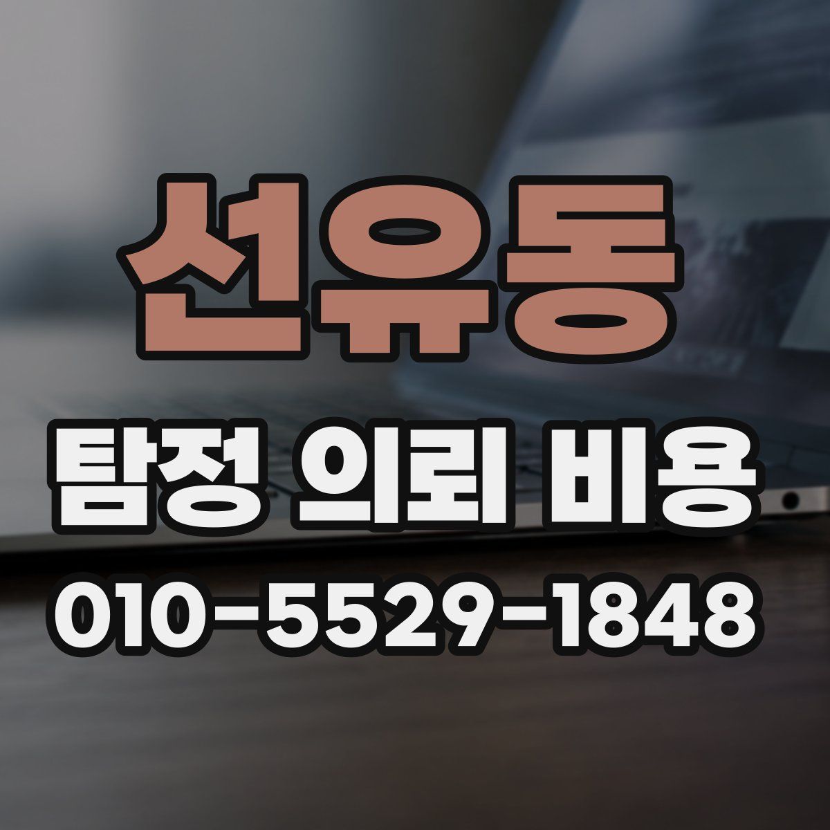 선유동 탐정 의뢰 비용
