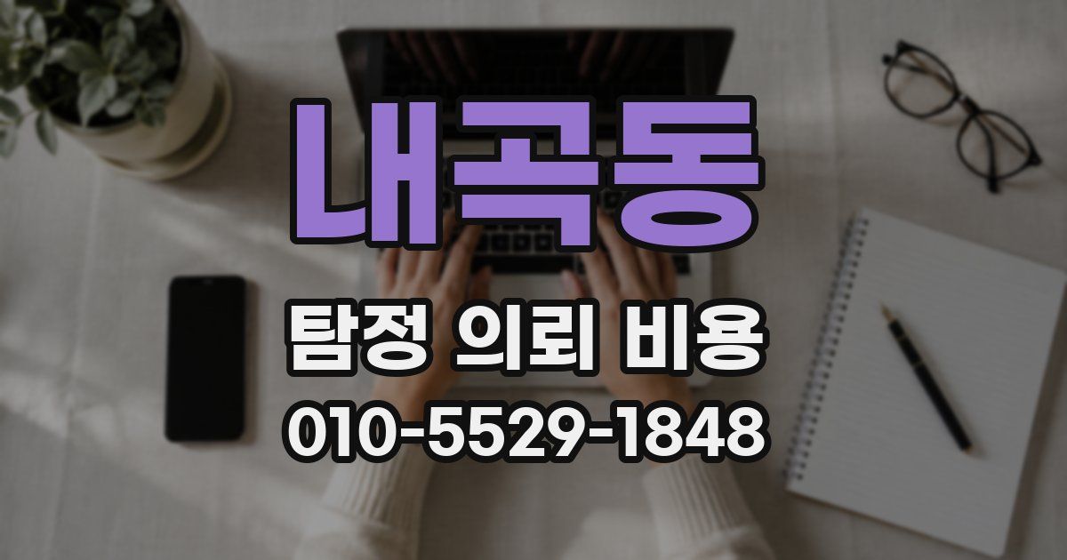 내곡동 탐정 의뢰 비용