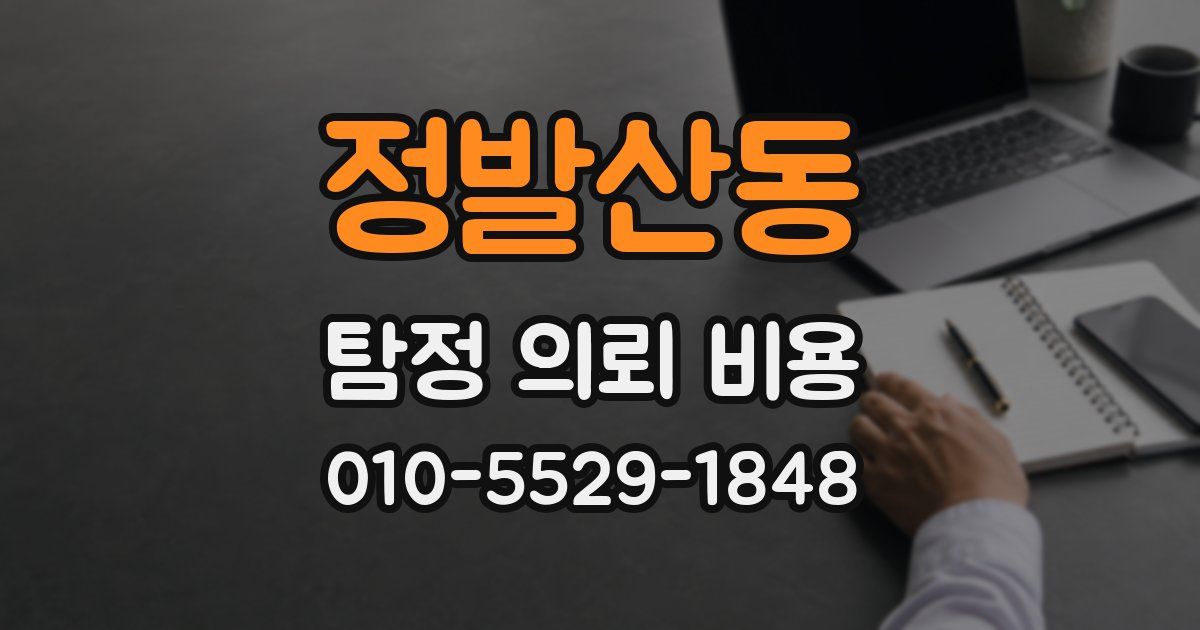 정발산동 탐정 의뢰 비용