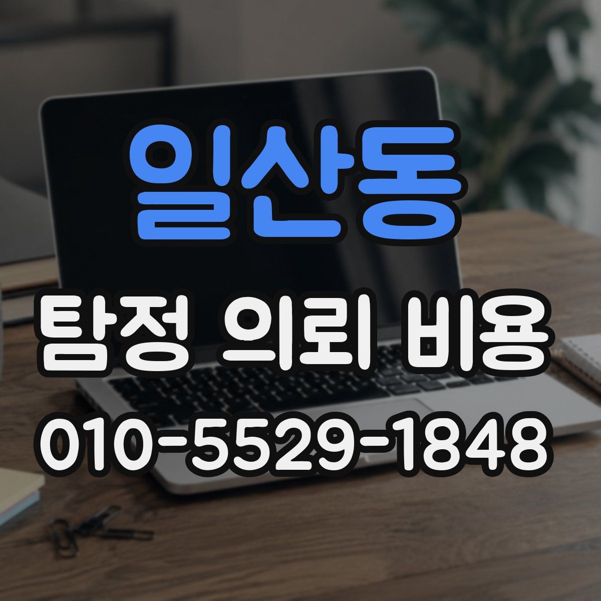 일산동 탐정 의뢰 비용