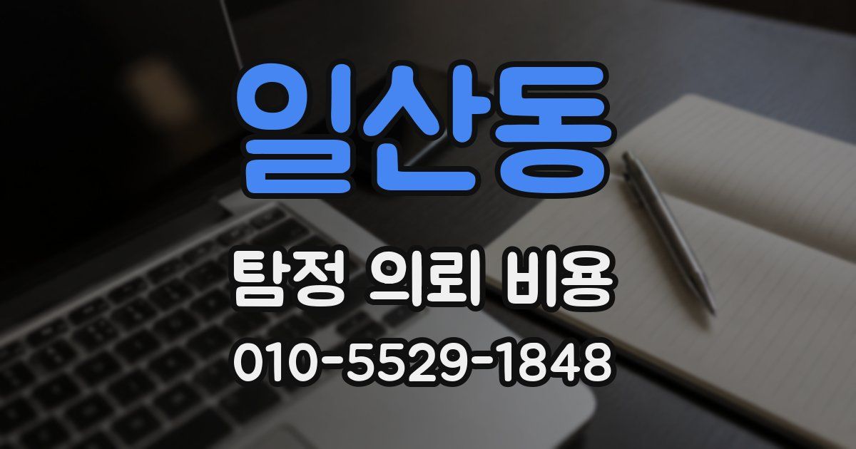 일산동 탐정 의뢰 비용