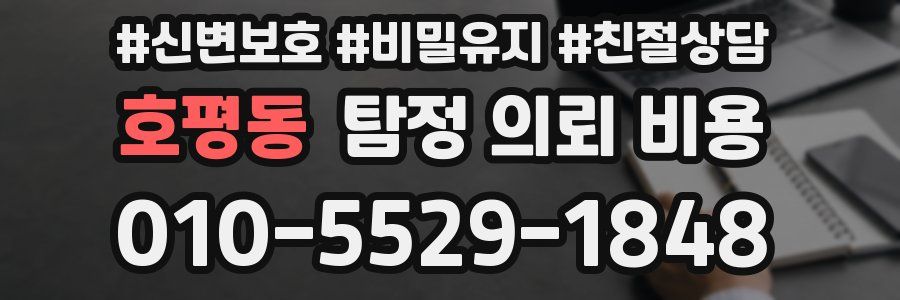 호평동 탐정 의뢰 비용