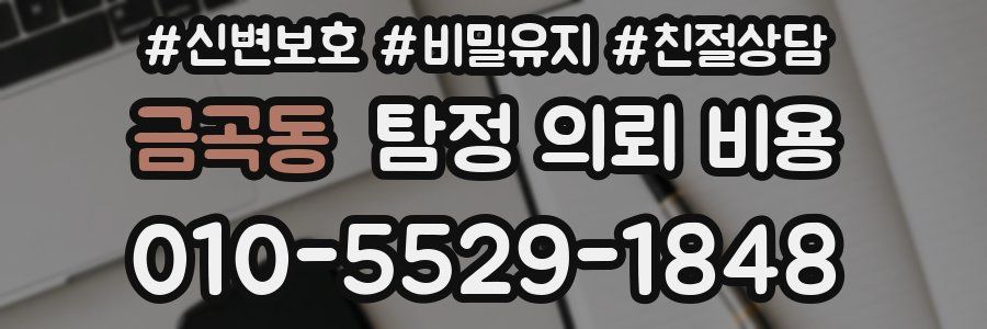 금곡동 탐정 의뢰 비용