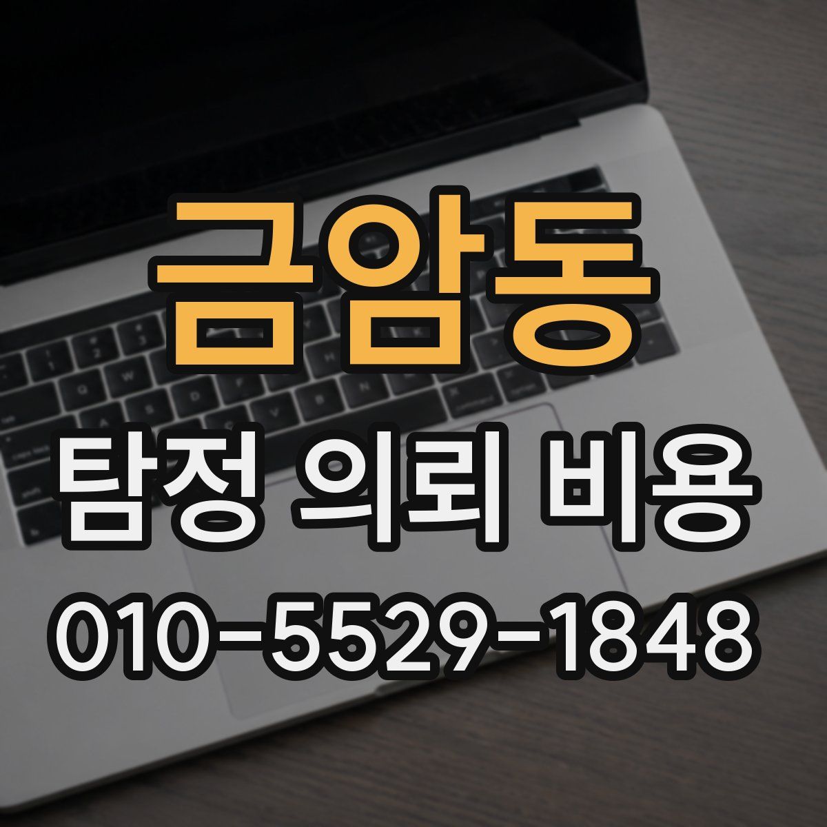 금암동 탐정 의뢰 비용