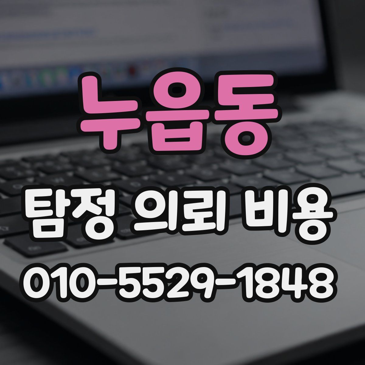 누읍동 탐정 의뢰 비용