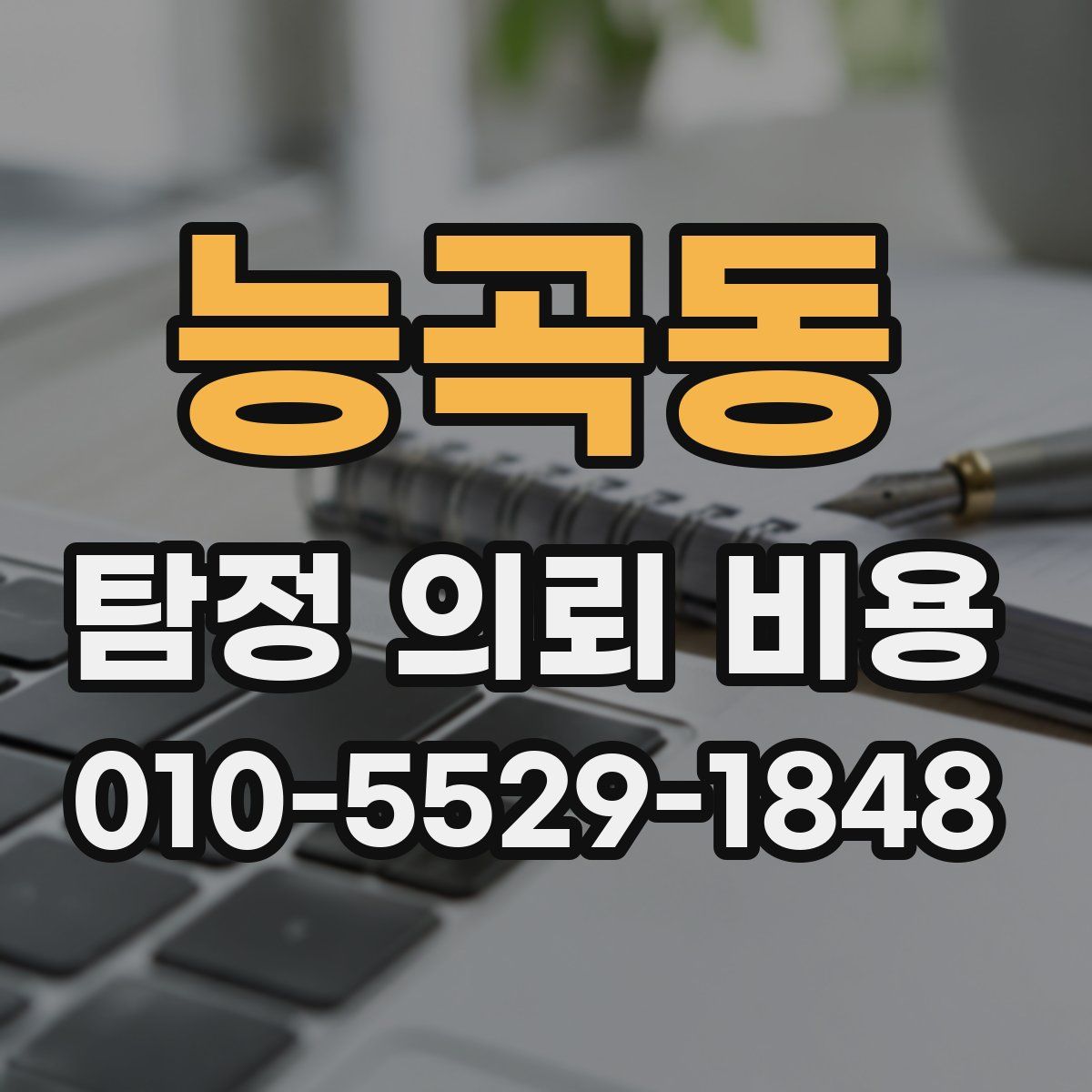 능곡동 탐정 의뢰 비용