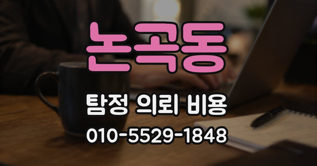 논곡동 탐정 의뢰 비용