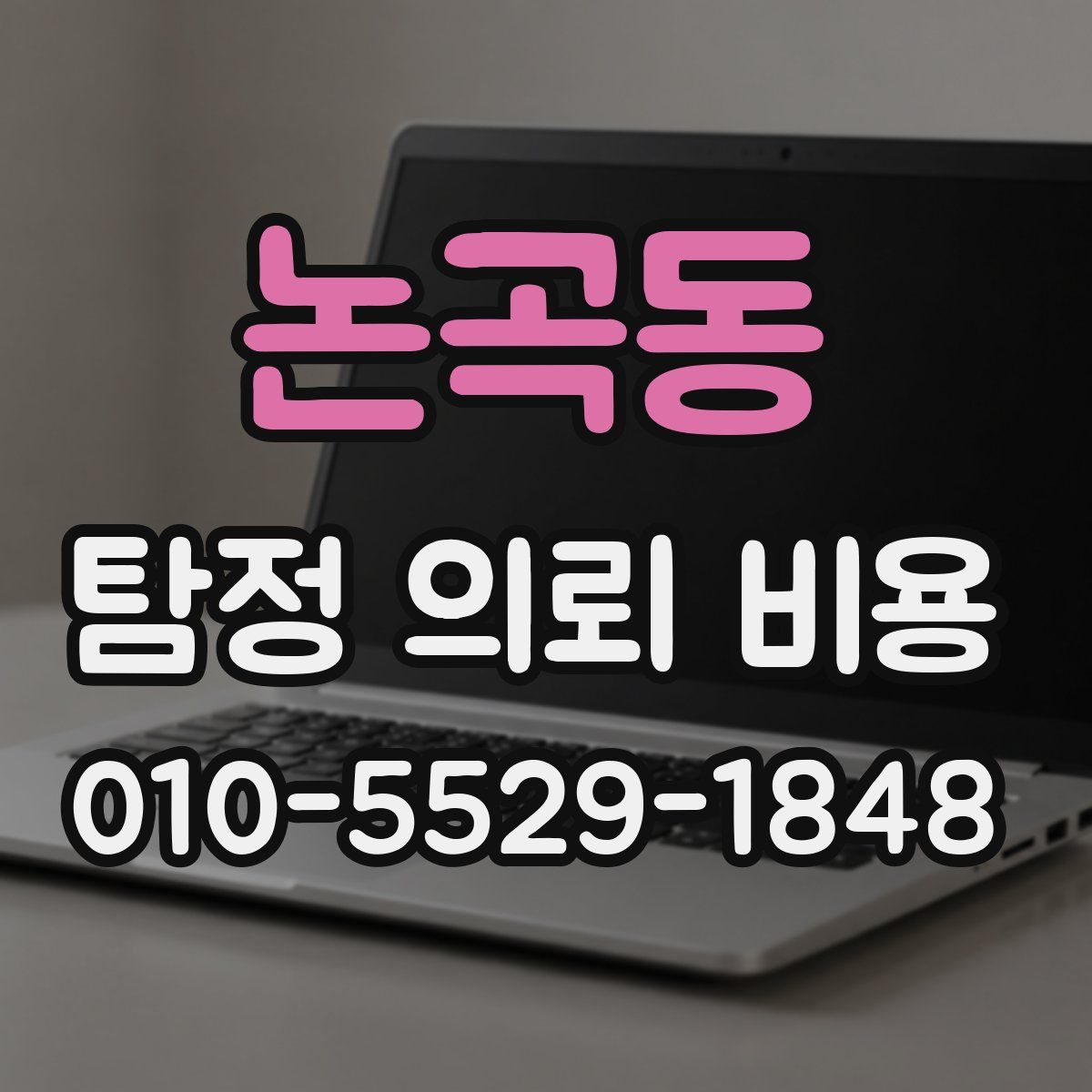 논곡동 탐정 의뢰 비용