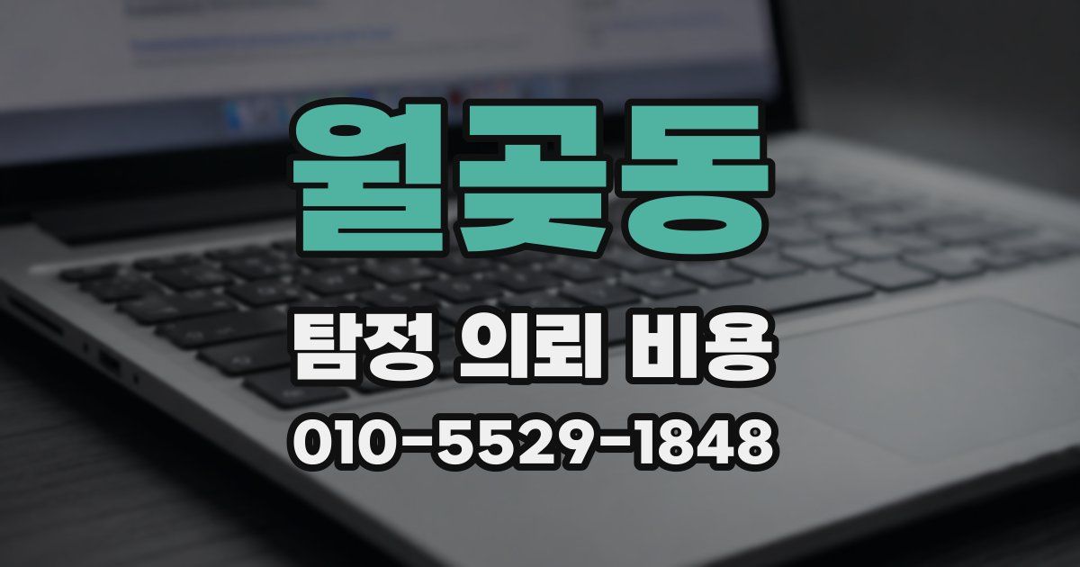 월곶동 탐정 의뢰 비용