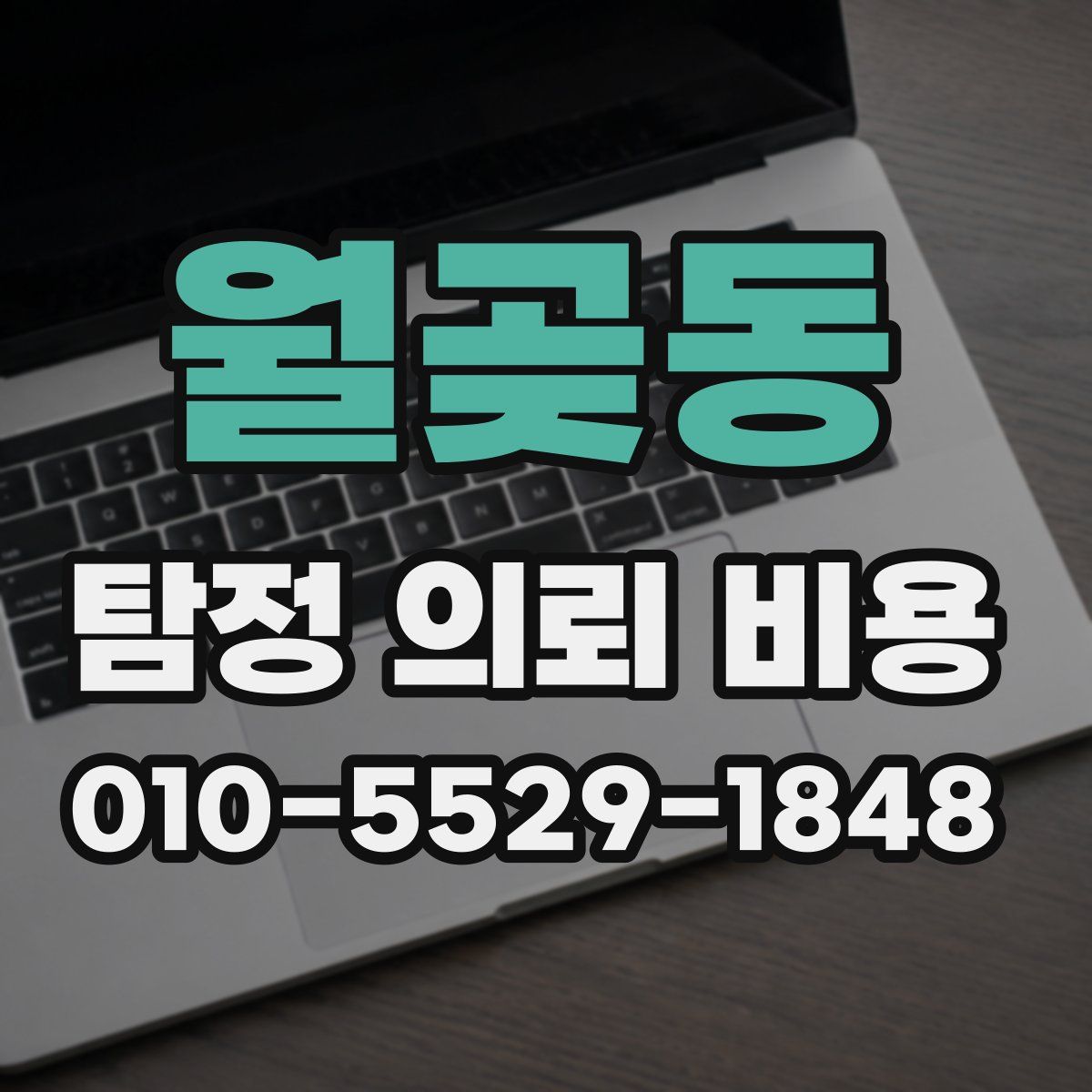 월곶동 탐정 의뢰 비용