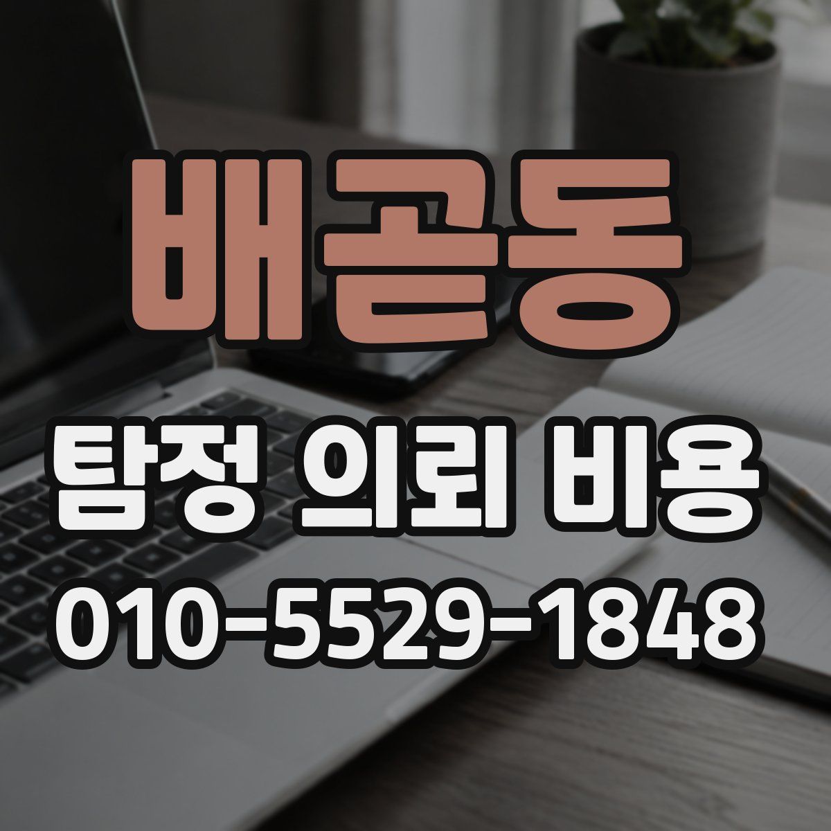 배곧동 탐정 의뢰 비용