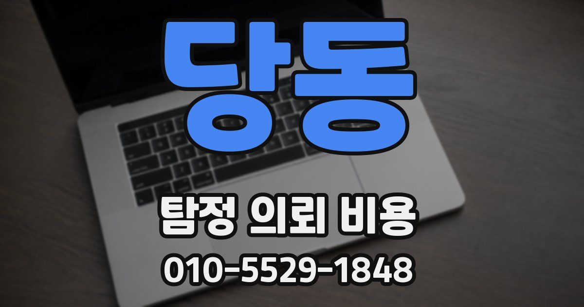 당동 탐정 의뢰 비용