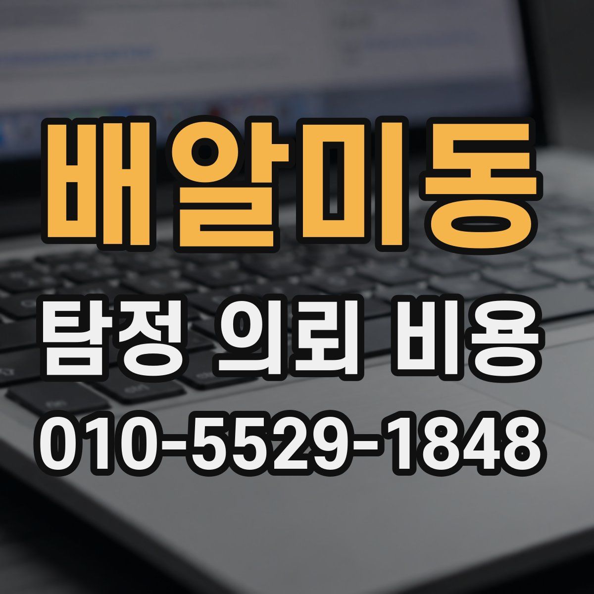 배알미동 탐정 의뢰 비용