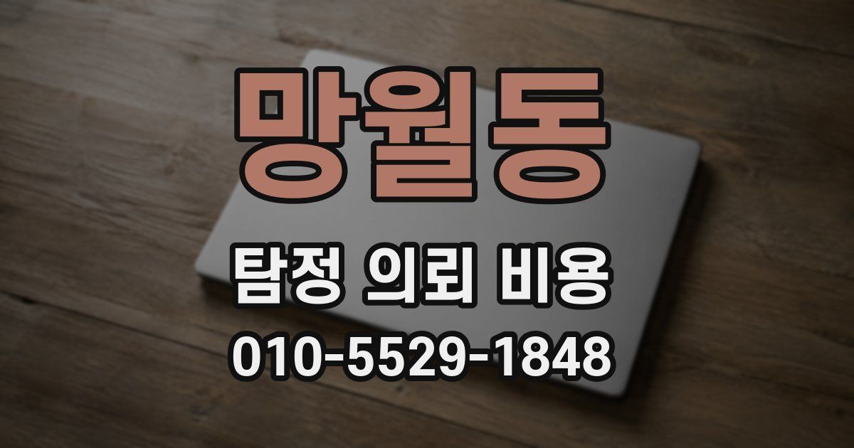 망월동 탐정 의뢰 비용