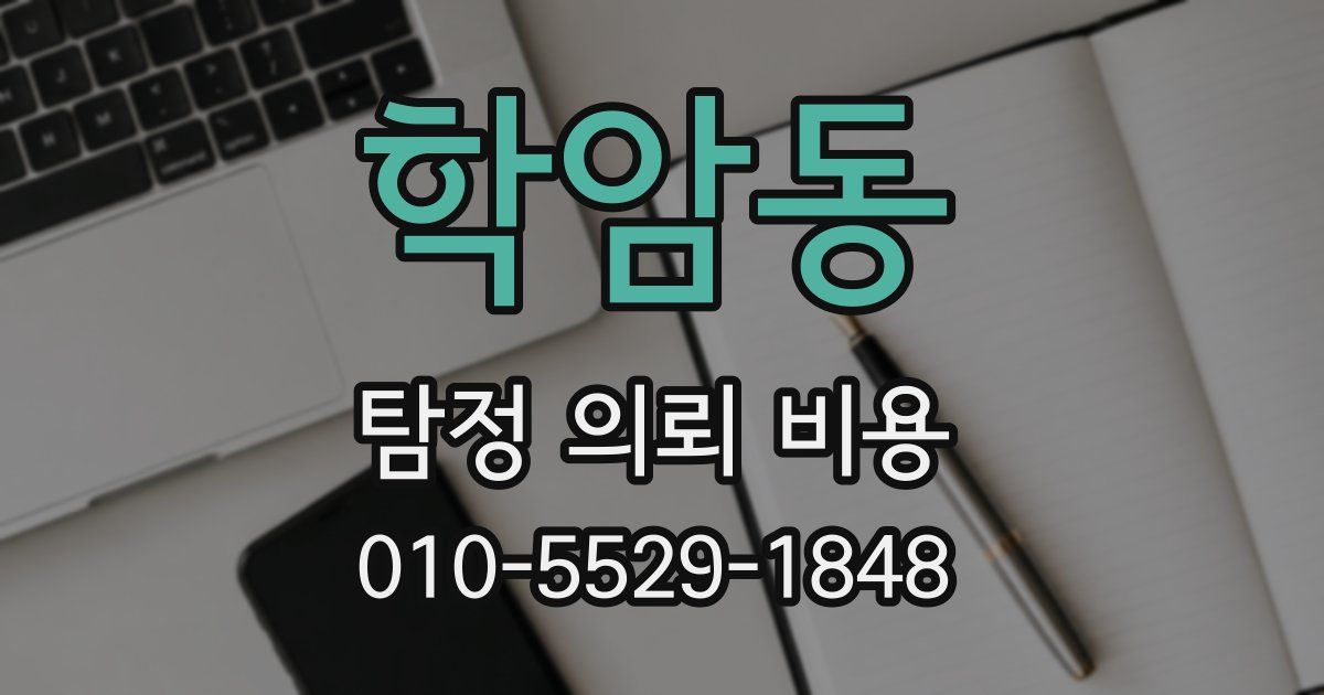 학암동 탐정 의뢰 비용