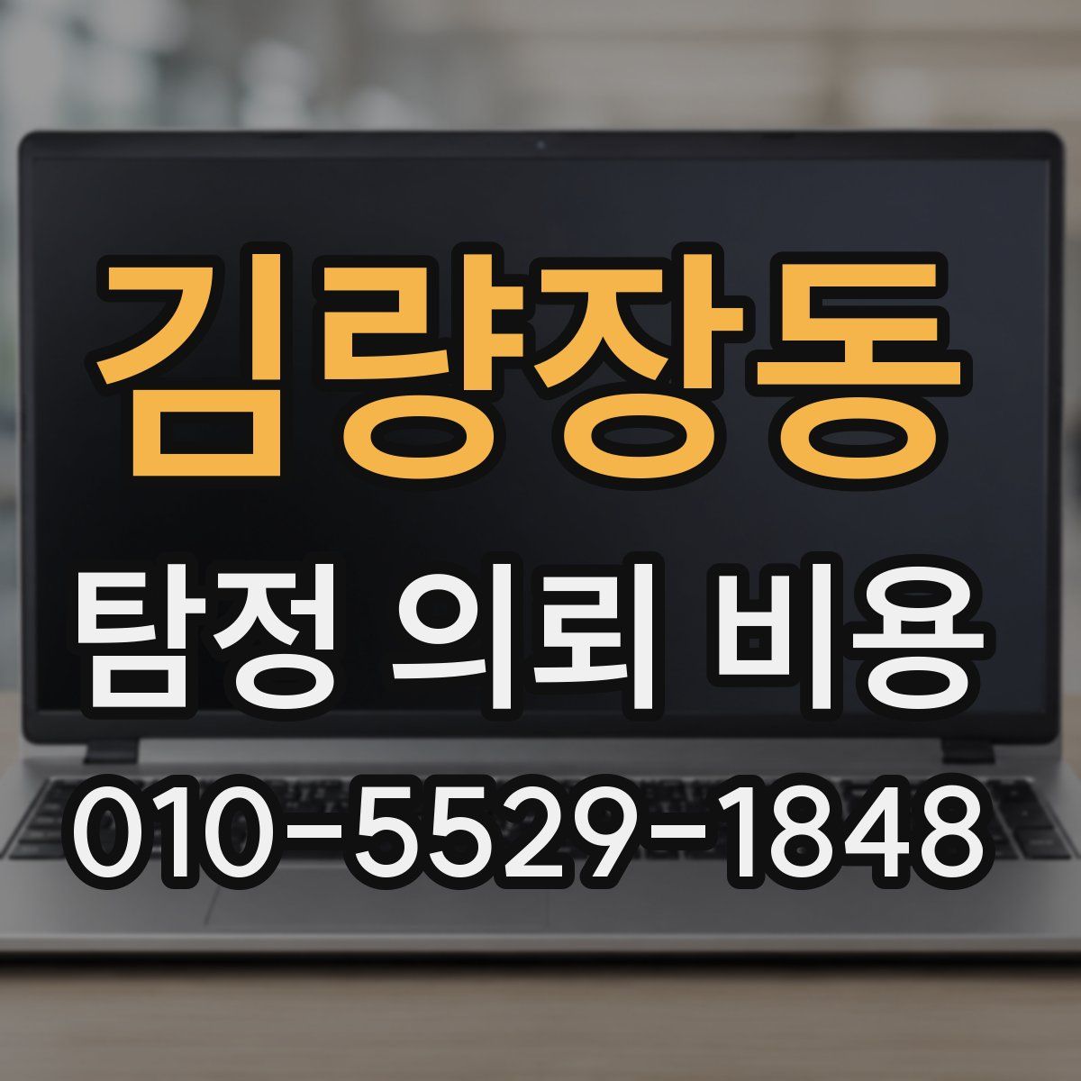 김량장동 탐정 의뢰 비용