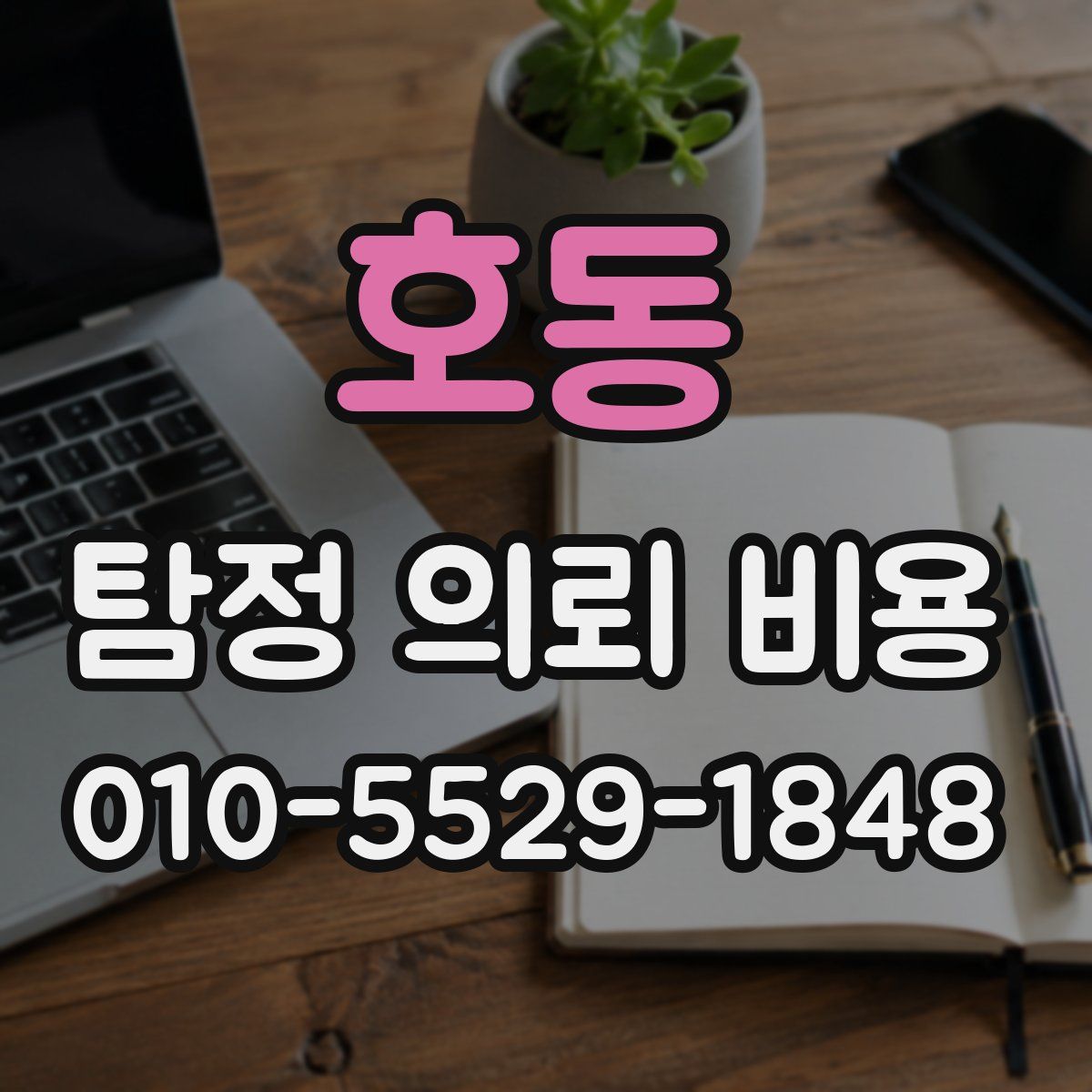 호동 탐정 의뢰 비용