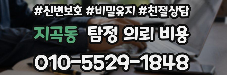 지곡동 탐정 의뢰 비용