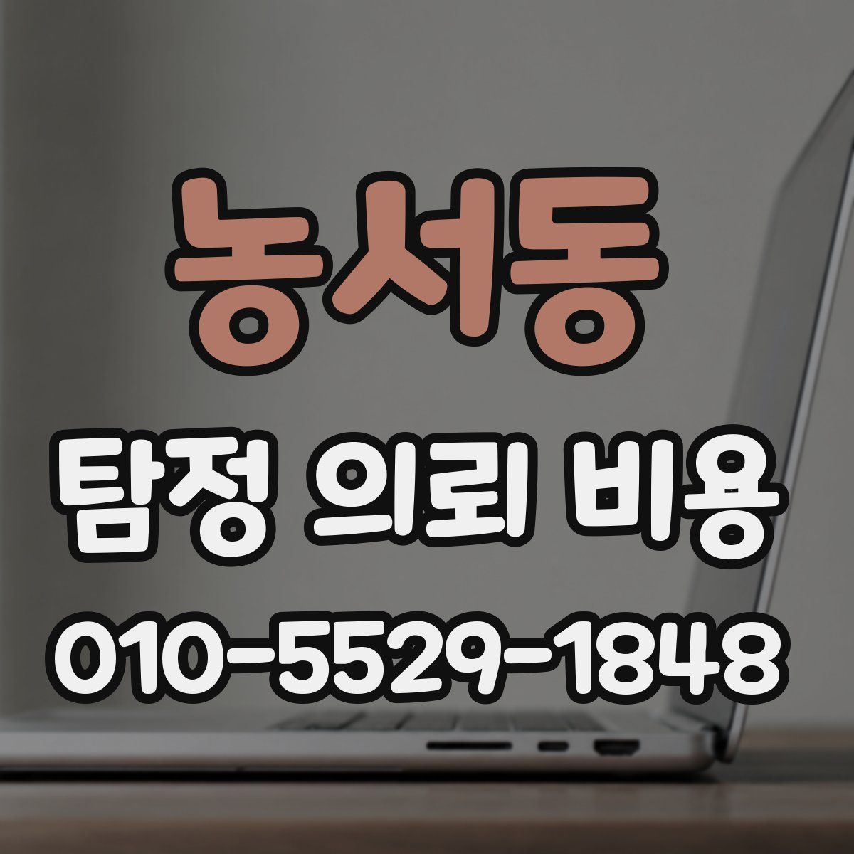 농서동 탐정 의뢰 비용