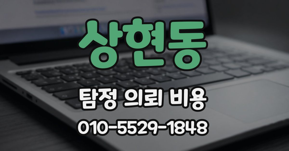상현동 탐정 의뢰 비용
