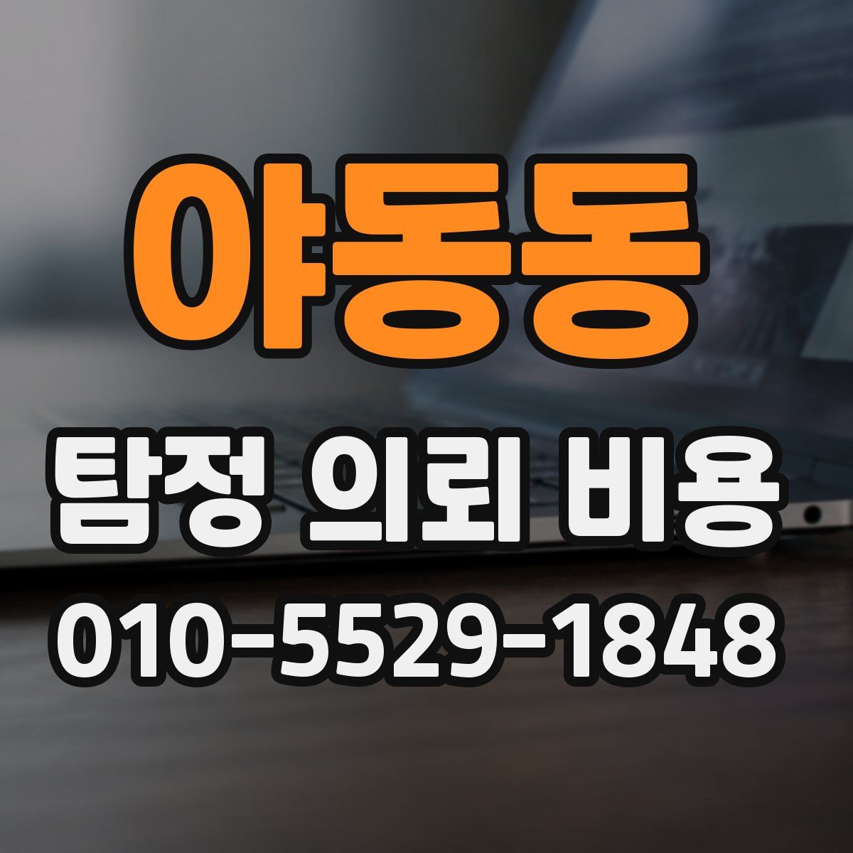 야동동 탐정 의뢰 비용