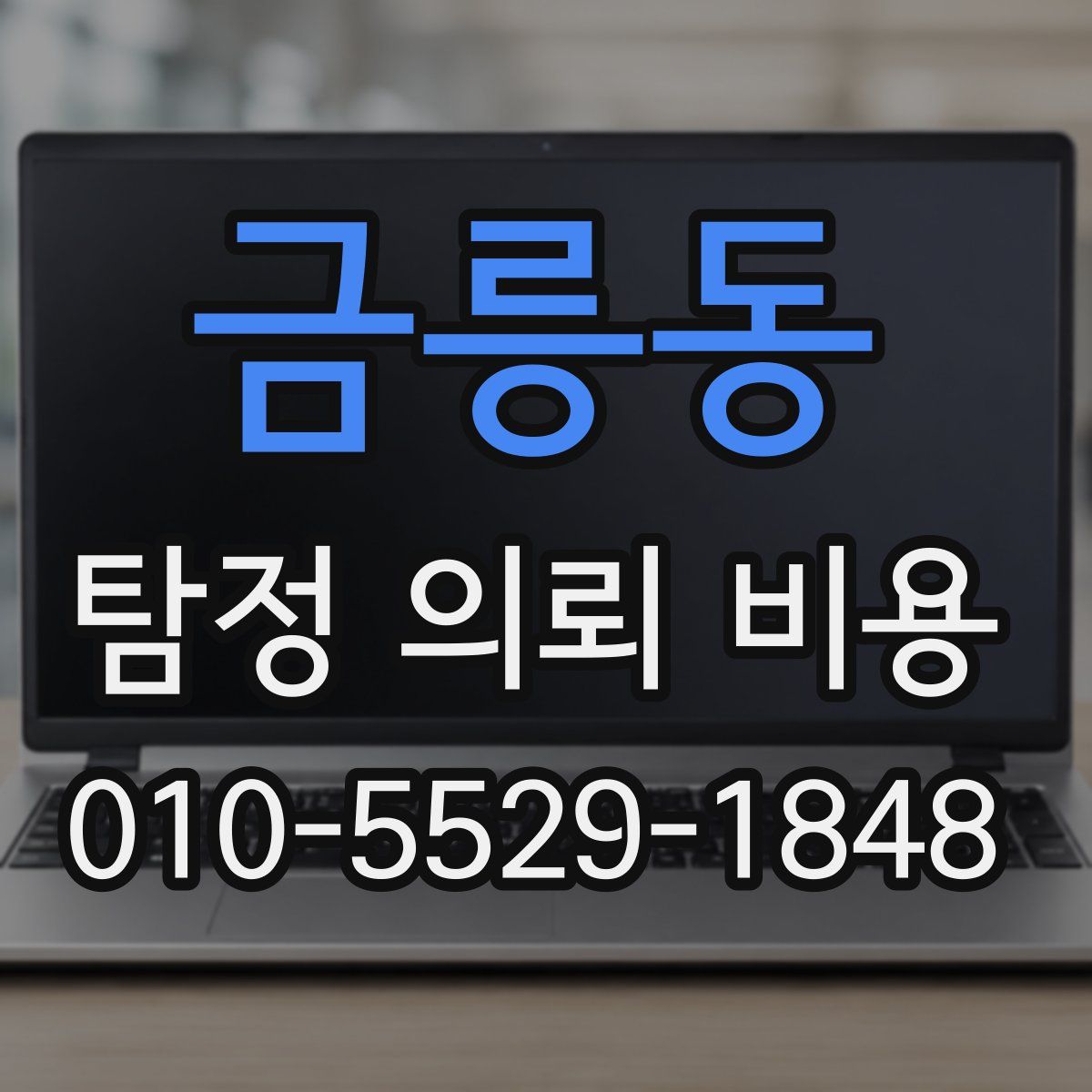 금릉동 탐정 의뢰 비용