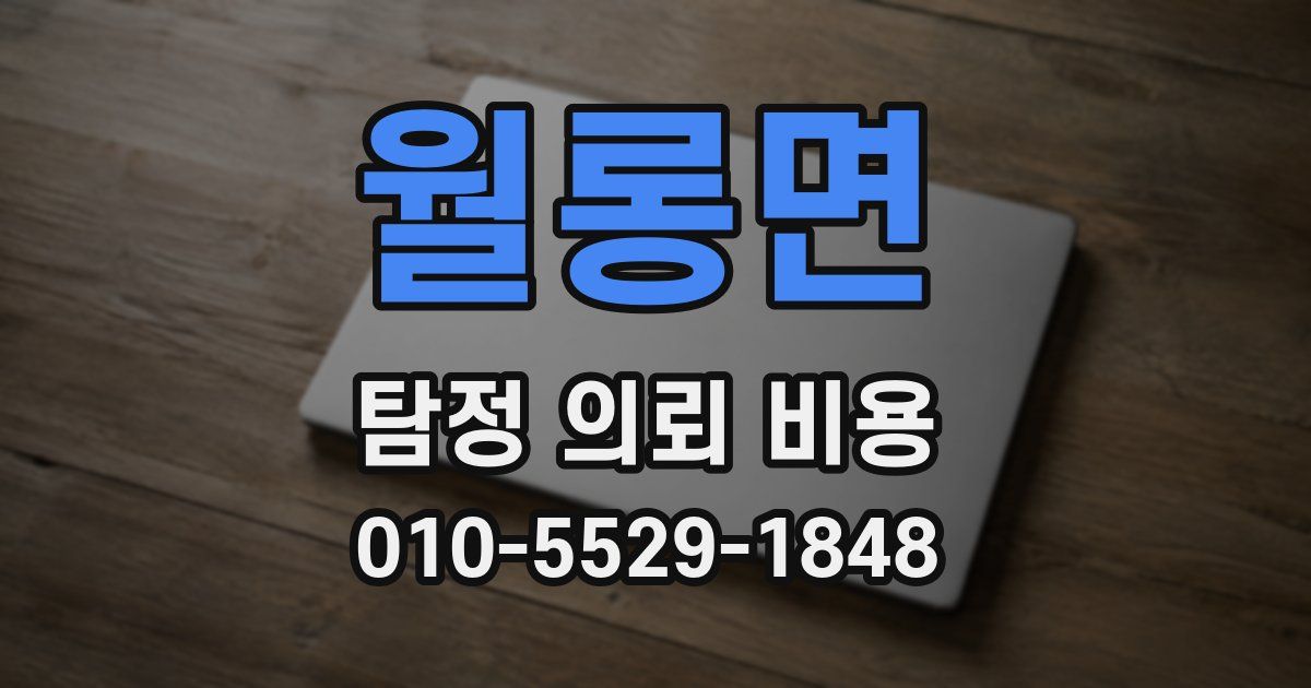 월롱면 탐정 의뢰 비용