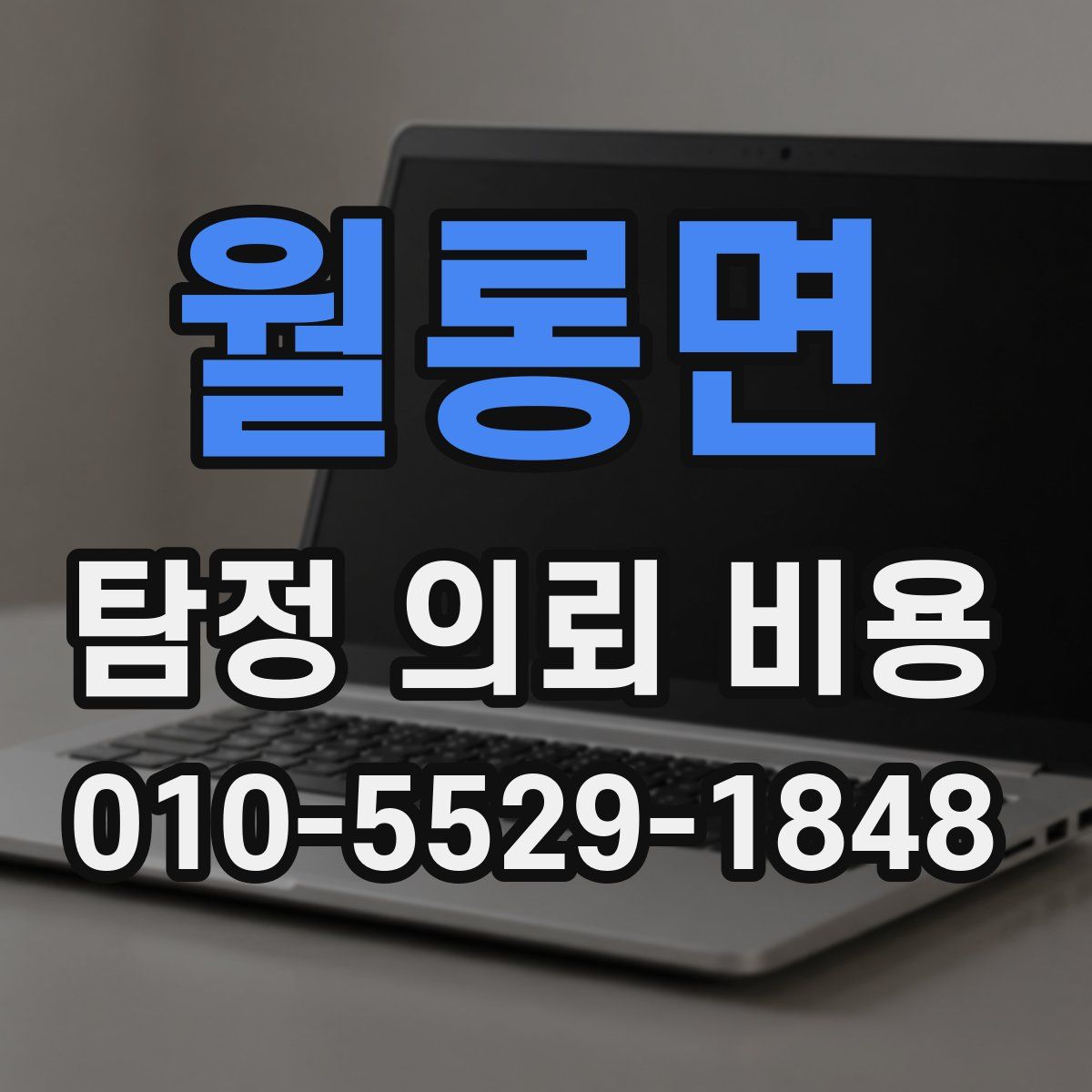 월롱면 탐정 의뢰 비용