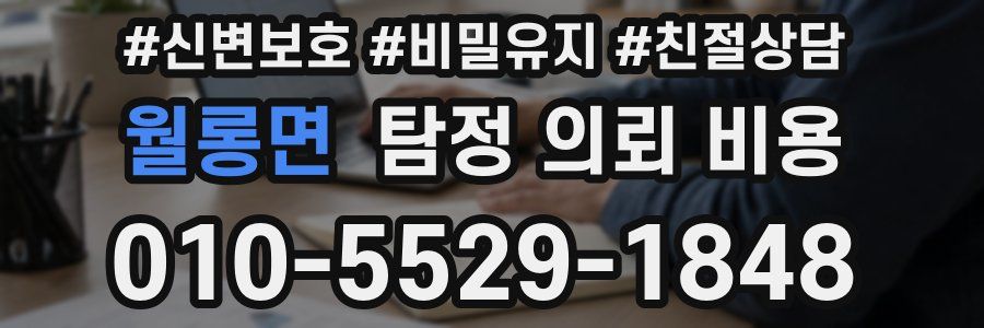 월롱면 탐정 의뢰 비용