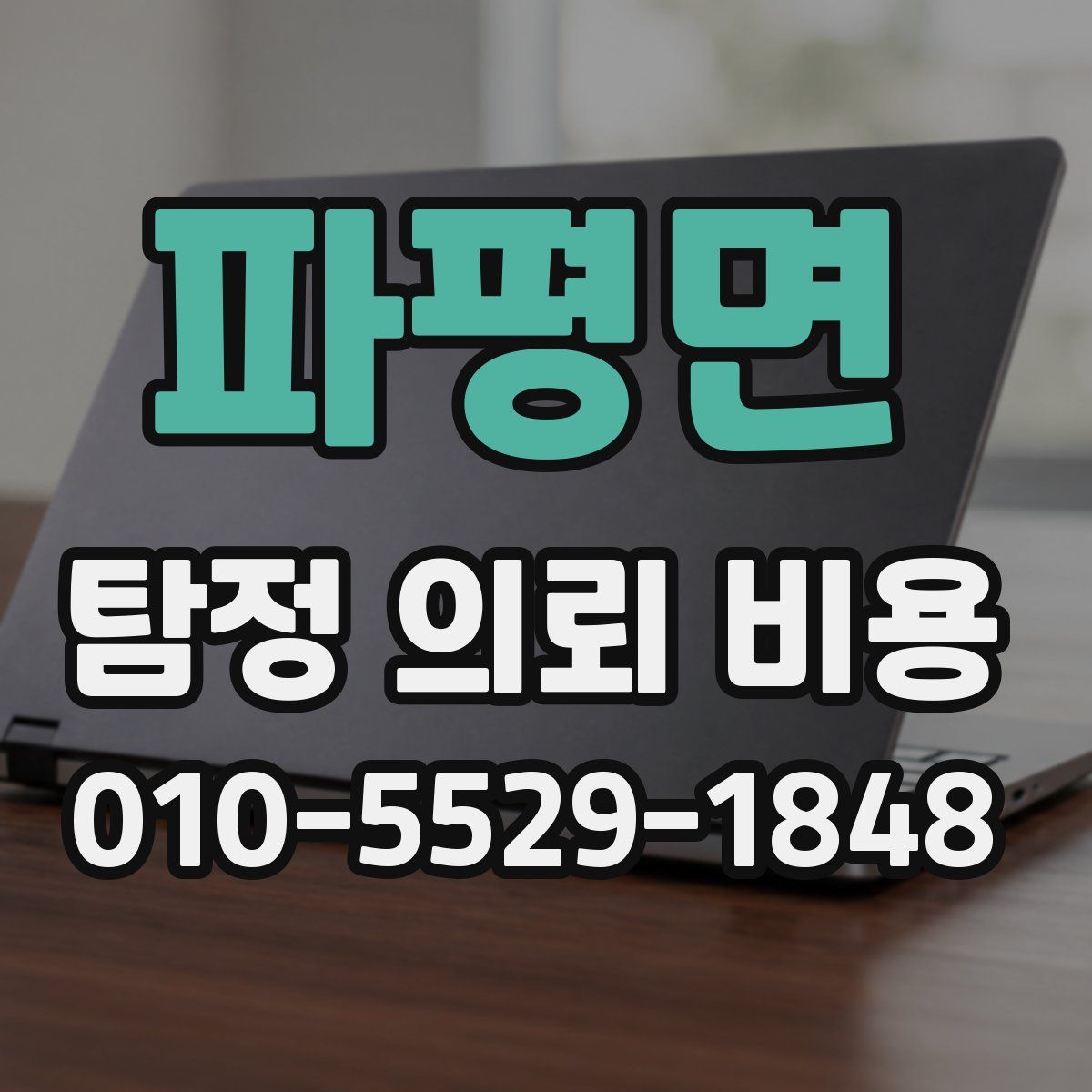 파평면 탐정 의뢰 비용