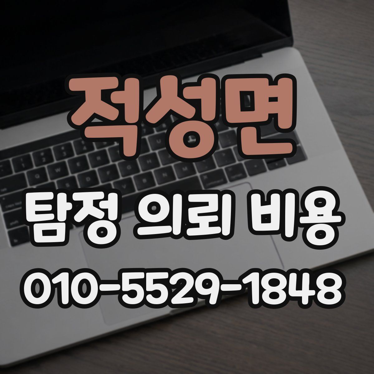 적성면 탐정 의뢰 비용