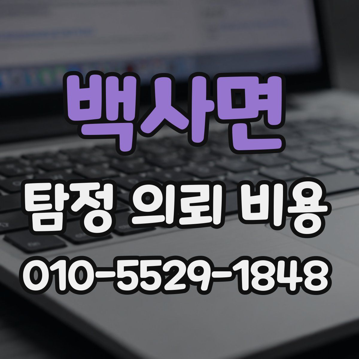 백사면 탐정 의뢰 비용