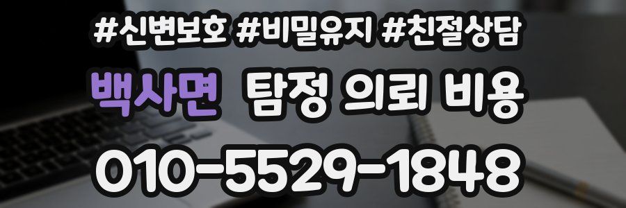 백사면 탐정 의뢰 비용