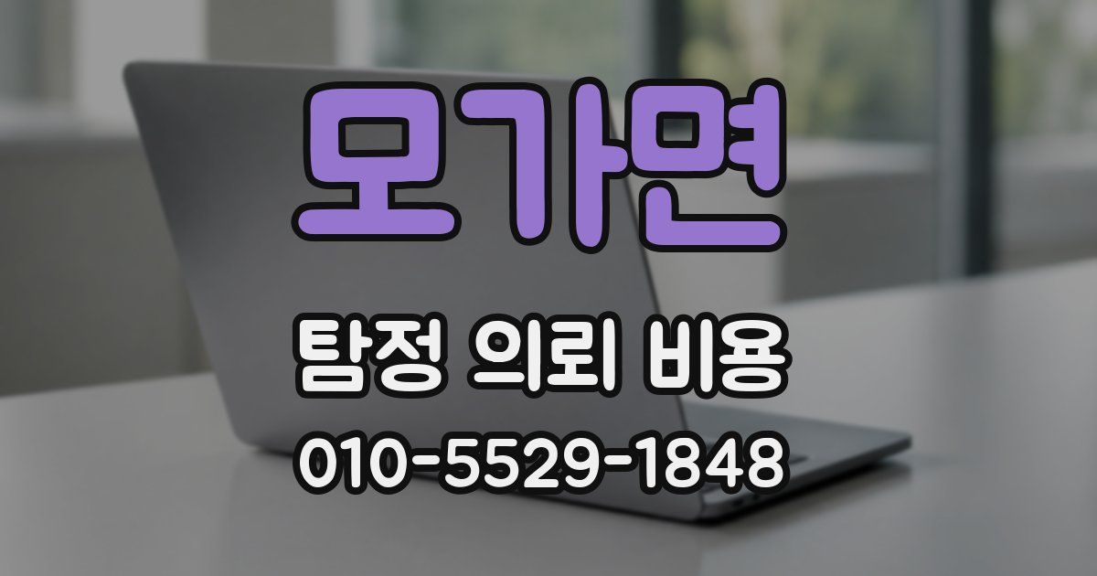 모가면 탐정 의뢰 비용
