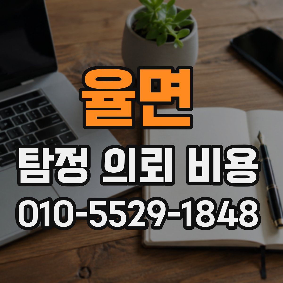 율면 탐정 의뢰 비용