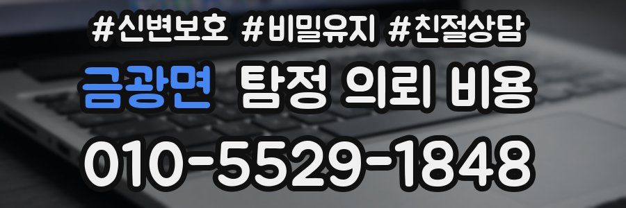 금광면 탐정 의뢰 비용