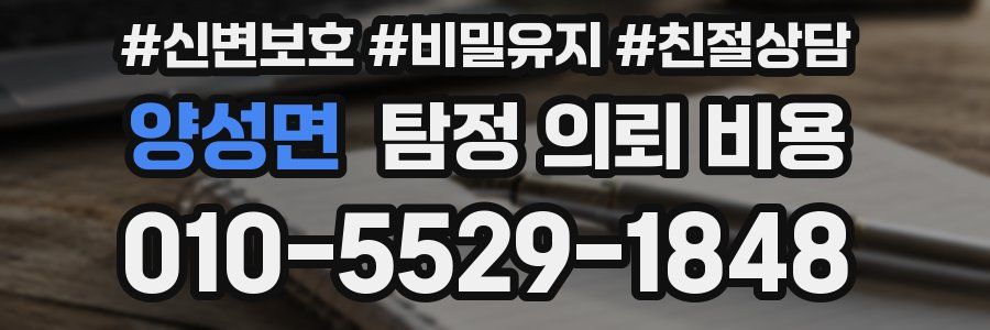 양성면 탐정 의뢰 비용