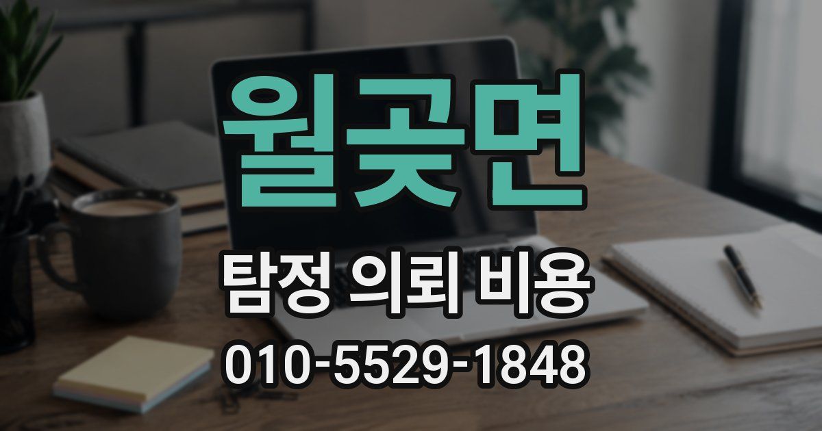 월곶면 탐정 의뢰 비용