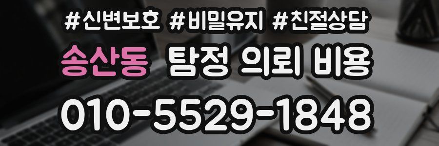 송산동 탐정 의뢰 비용