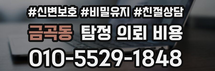 금곡동 탐정 의뢰 비용
