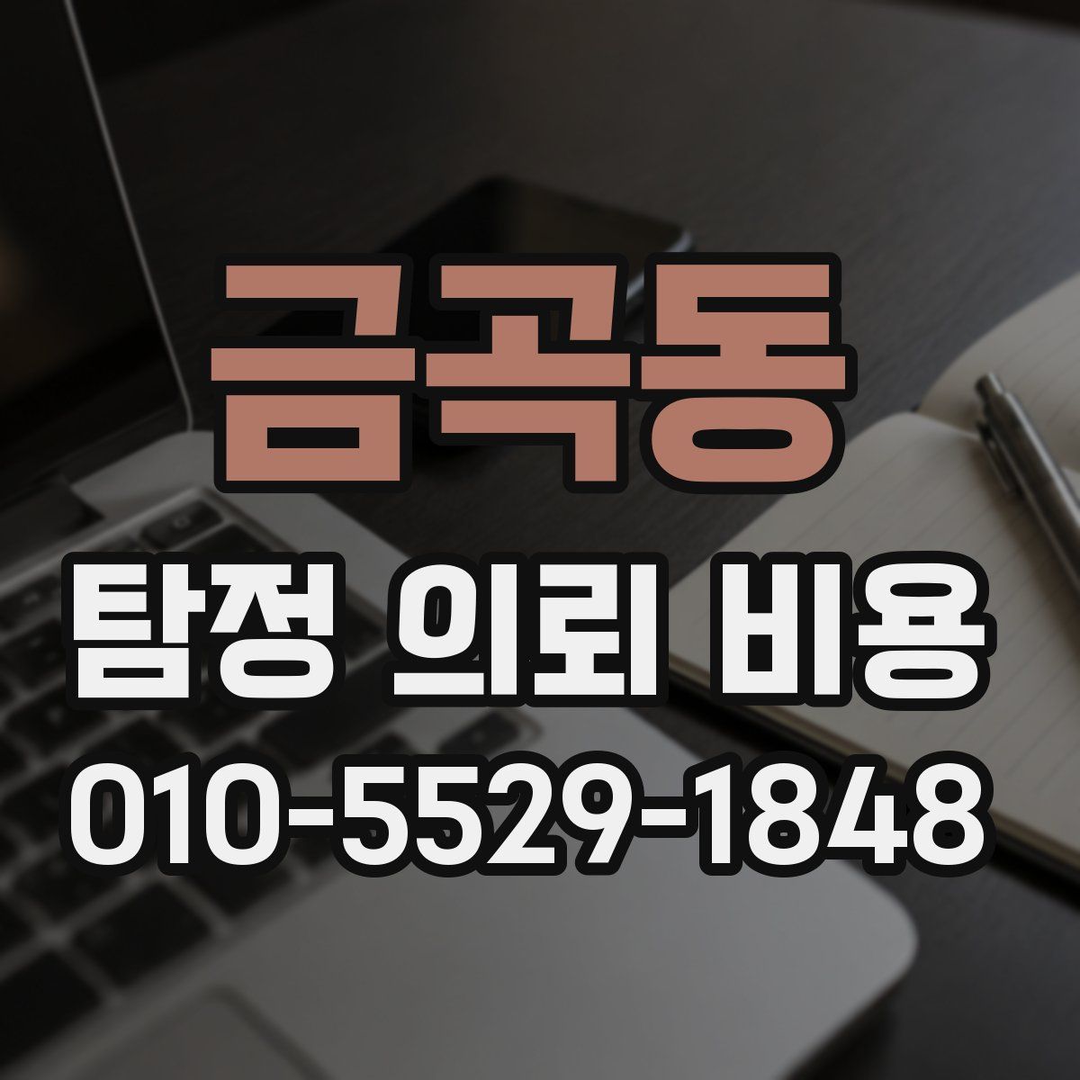 금곡동 탐정 의뢰 비용