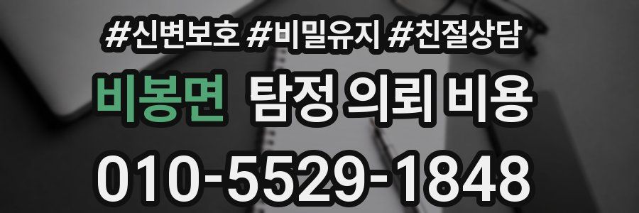 비봉면 탐정 의뢰 비용