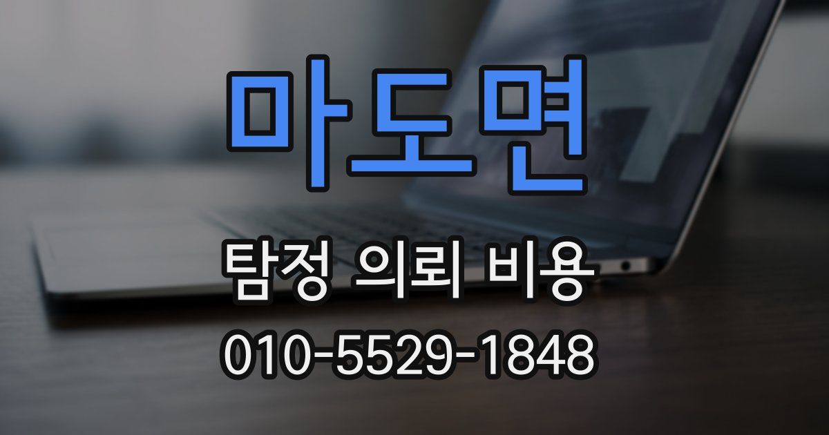 마도면 탐정 의뢰 비용