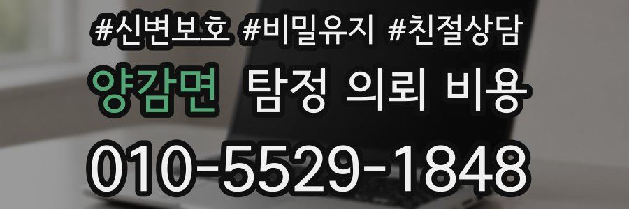 양감면 탐정 의뢰 비용
