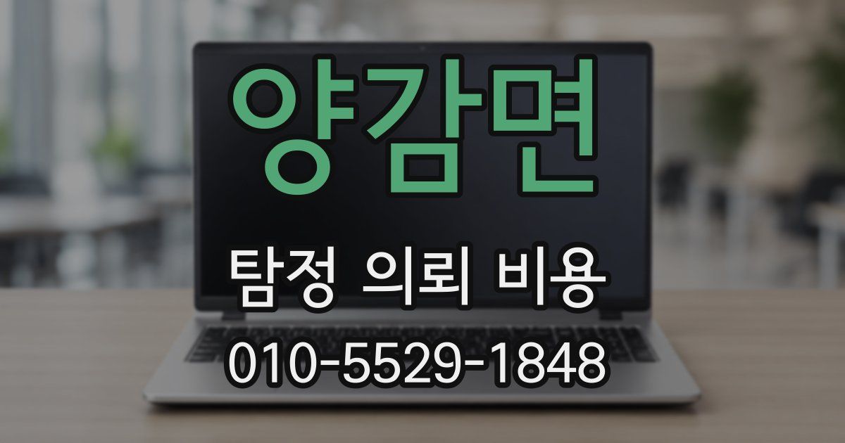 양감면 탐정 의뢰 비용