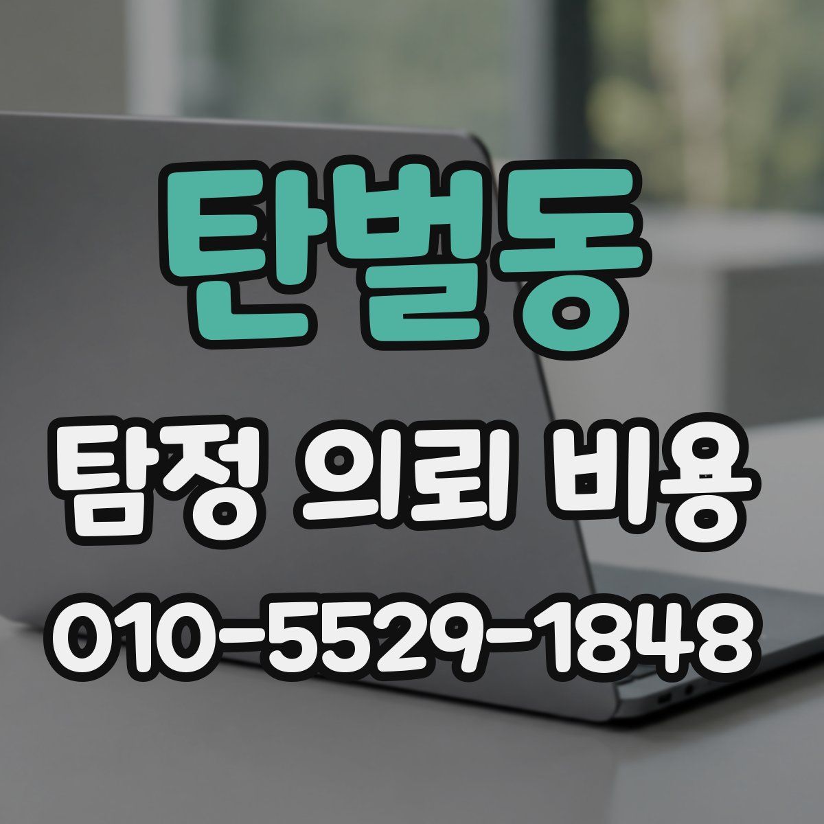탄벌동 탐정 의뢰 비용