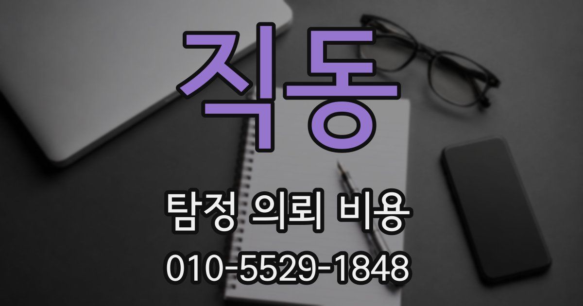 직동 탐정 의뢰 비용